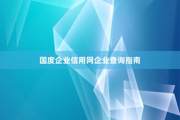 国度企业信用网企业查询指南